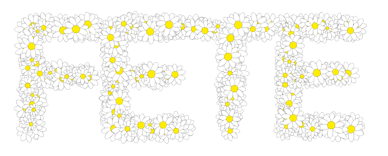 Fetes et marguerites